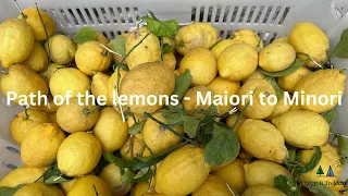 Path of the lemons- Maiori to Minori, Amalfi Coast, Italy