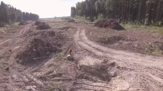 Гибель леса. Уничтожение старинных подземных каменоломен.