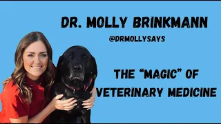 Molly Brinkmann   The Magic of Veterinary Medicine