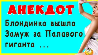 Блондинка вышла Замуж за Палавого гиганта ... | Самые смешные Анекдоты