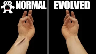 Parts of Your Body That Prove You've Evolved