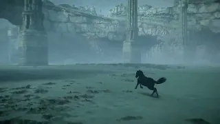 Shadow of the Colossus Shenanigans :D