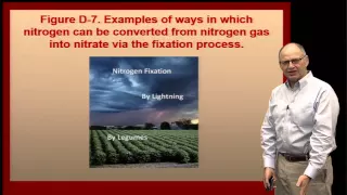 What Happens When Nitrogen is Applied to The Soil