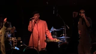 Fishbone - "Swim" (Live) Chicago, IL 4/1/2017
