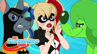 Nawiedzona Harley | Wszystkie zwierzęta dozwolone | DC Super Hero Girls po Polsku