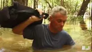 That Time Jeremy Wade Survived a Plane Crash | River Monsters