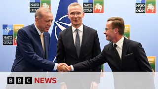 Nato summit: Ukraine's future membership to be discussed by leaders in Lithuania - BBC News
