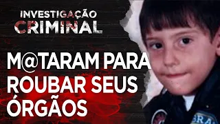 CASO PAULO PAVESI - A VOZ DO PAI - TRÁFICO DE ÓRGÃOS - INVESTIGAÇÃO CRIMINAL