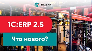 Что нового в 1С:ERP 2.5? Обзор новых возможностей корпоративного решения