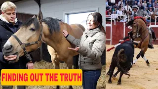 Horse Communicator talks to ex-bullfighting horse