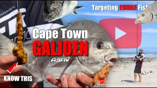 Targeting EDIBLES at False Bay | The Cape Town GALJOEN | ASFN Rock & Surf