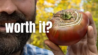 Do you actually save money growing your own food? I tracked everything.