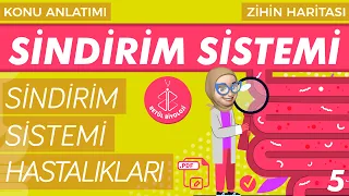 Sindirim Sistemi #5 | Sindirim Sistemi Hastalıkları | AYT Biyoloji | 11. Sınıf Biyoloji