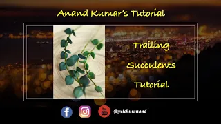 Anand Kumar's Sugar Succulent Tutorial in Gumpaste