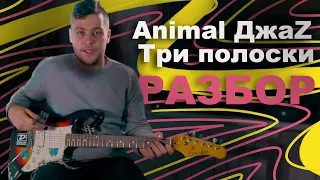 Разбор на гитаре Animal ДжаZ - Три полоски