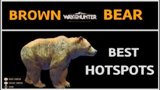 BROWN BEAR best HOTSPOTS location in Way of the hunter