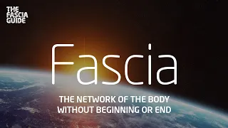 Fascia Documentary: The network of the body without beginning or end