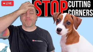 7 Puppy Training "Shortcuts" That Make Things WORSE!