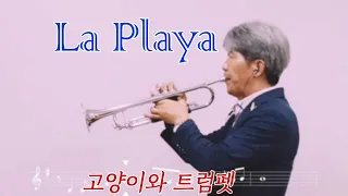 "La Playa" 트럼펫커버(Trumpet Cover)