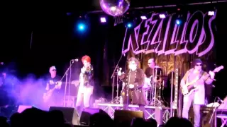 The Rezillos- "Live at 229, London - 26 April 2013" (full show)  | dsoaudio