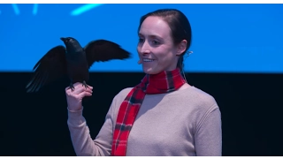 The fascinating intelligence of birds | Auguste von Bayern | TEDxTUM