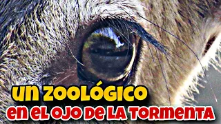 🦍QUE PASA en el ZOOLÓGICO de SAN PEDRO de COLALAO?