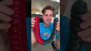 EATING THE WORLD'S BIGGEST GUMMY WORM