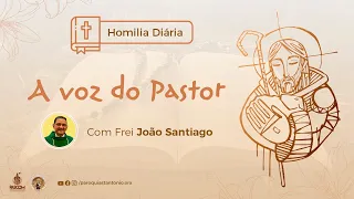 Homilia Diária | 4ª Semana da Páscoa - Sexta-feira (Jo 14,1-6)