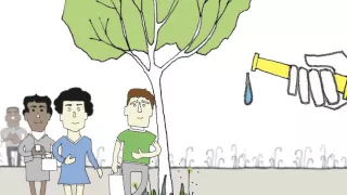 Schools WSUD animation