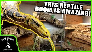 INCREDIBLE MONITOR LIZARD REPTILE ROOM TOUR! (Mike's Monitors)