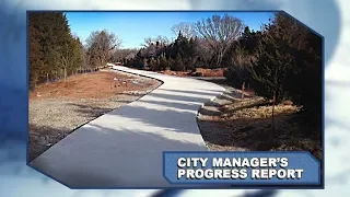 City Manager's Progress Report: January 2019