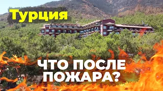 Самая зеленая территория невероятно красивого отеля в Турциии в Мармарисе- Grand Yazici Marmaris