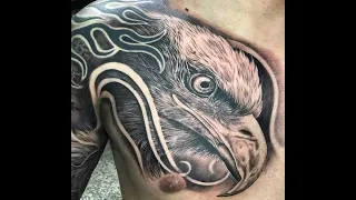 Top Tatuagens no Peito tema Aguia