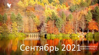 Запись вебинара сентябрь 2021