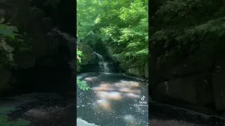 A hidden waterfall within Central Park in New York City | Soulful Jungle