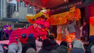 Toronto Scenes - Yonge North York Lunar New Year Lion & Dragon Dances by Wayland Yi Martial Arts CNY