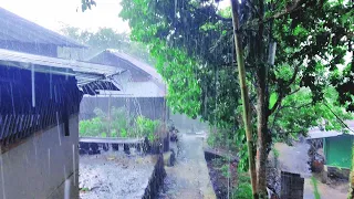 Walk in Heavy Rain in a Beautiful Village. Indonesian village