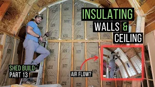 How to Install Insulation | DIY Faced Insulation | Shed Build Part 13