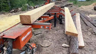 Cutting Three Large Beams from One Pine Log