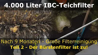 Große Filterreinigung - Der Bürstenfilter ist zu! | Teil 2 | Koiteich-Blog #27
