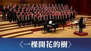 一棵開花的樹（席慕蓉詩／劉新誠曲）- National Taiwan University Chorus