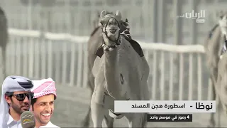 نوظا - اسطورة هجن المسند مع المضمر محمود بن محمد الوهيبي