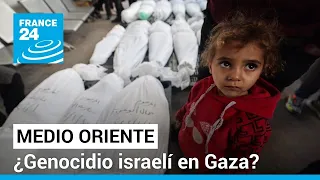 ¿Está cometiendo Israel un "genocidio" contra la población palestina en Gaza? • FRANCE 24