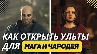 Как открыть навыки мастера для мага и чародея. Dragon's Dogma 2