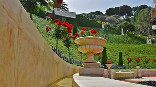 Bahai Gardens