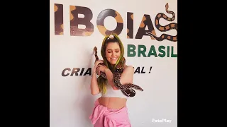 funBABE tá grávida