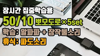 (장시간 공부해야하는 과목용) 🕑50/10뽀모도로: ⚡뇌피로는 낮추고 집중력은 높이는 12Hz 알파파 + 장작불소리🔥 | 5세트 | 50/10 Pomodoro alpha EEG