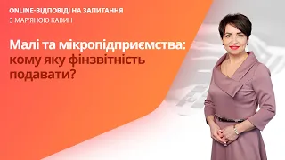 Малі та мікропідприємства: кому яку фінзвітність подавати?