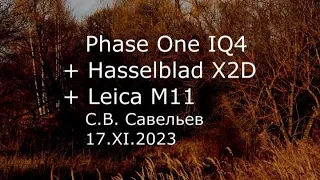 С.В. Савельев - Phase One IQ4 + Hasselblad X2D + Leica M11