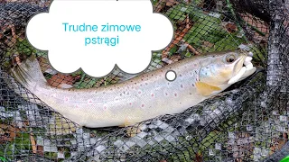 Trudne zimowe pstrągi 2023